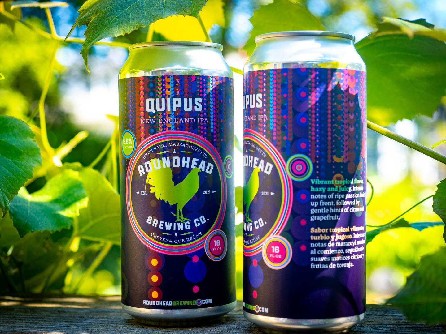 Quipus-8280080