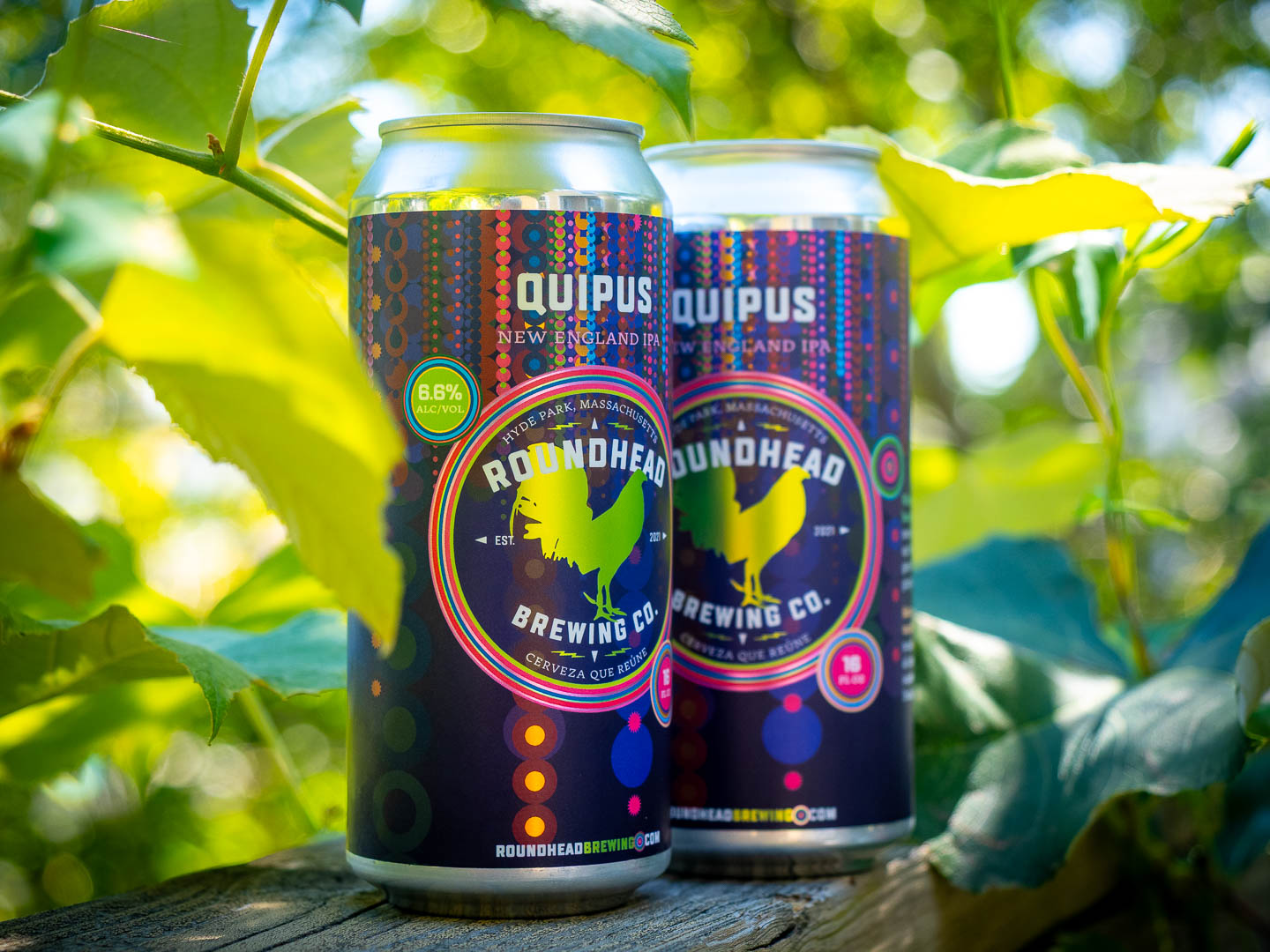 Quipus-8280109
