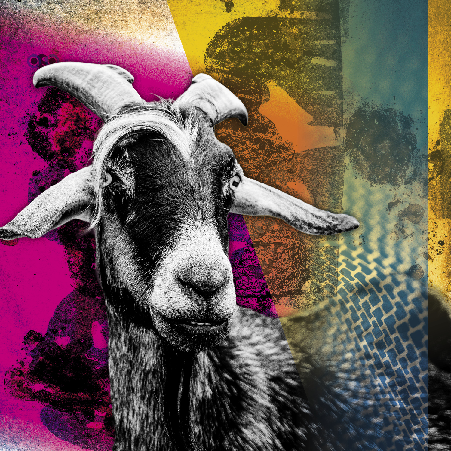 Goats_compositions_v1 Goats_compositions_v1