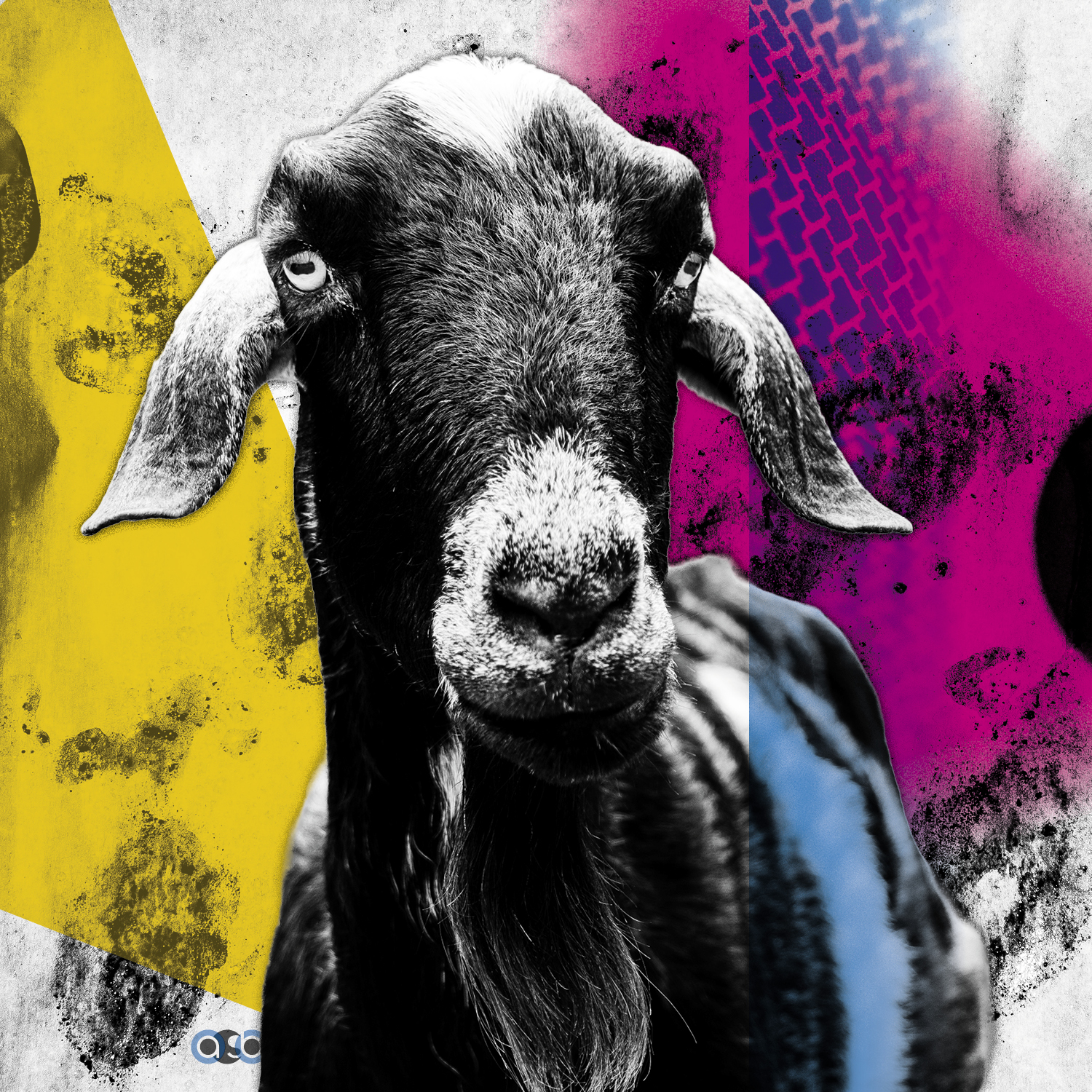 Goats_compositions_v13 Goats_compositions_v13