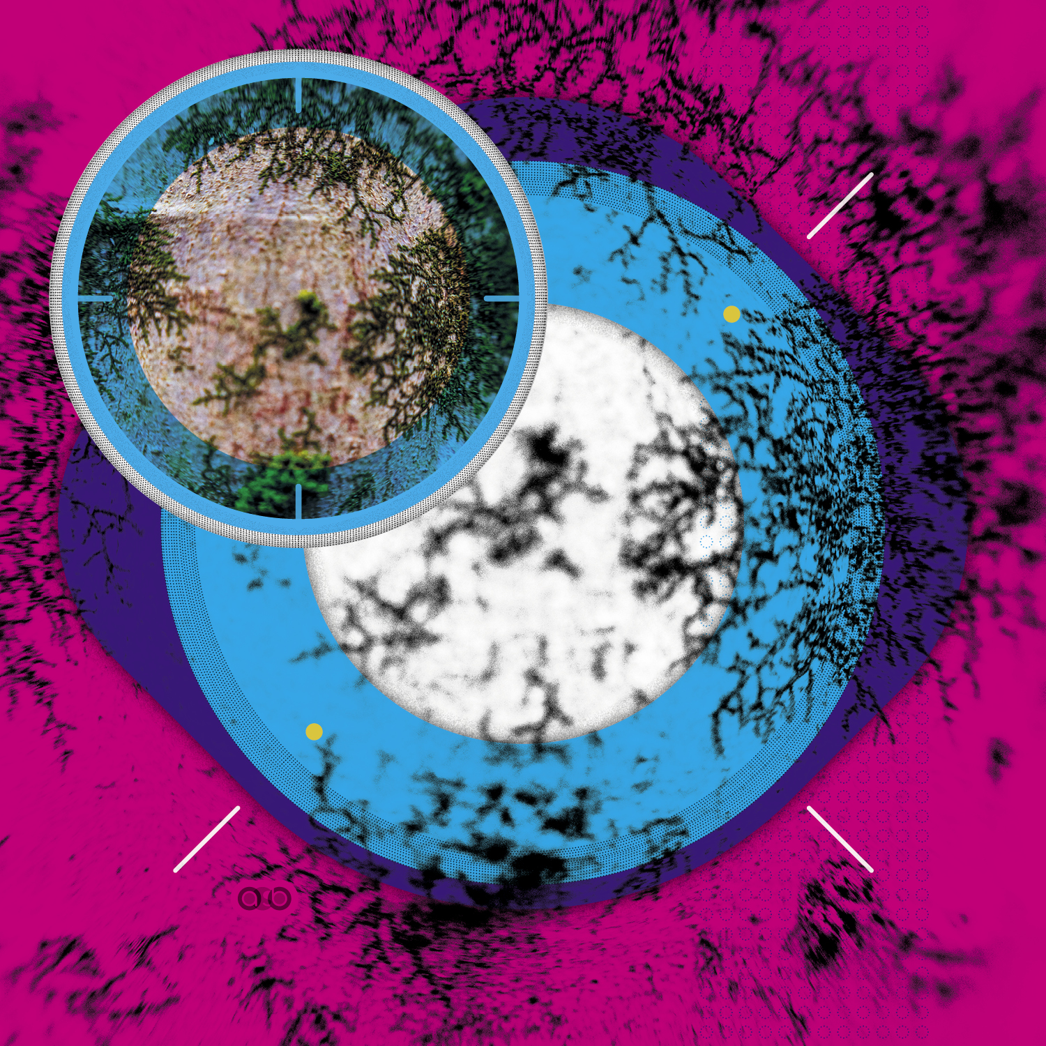 Lichen_compositions_v12 Lichen_compositions_v12