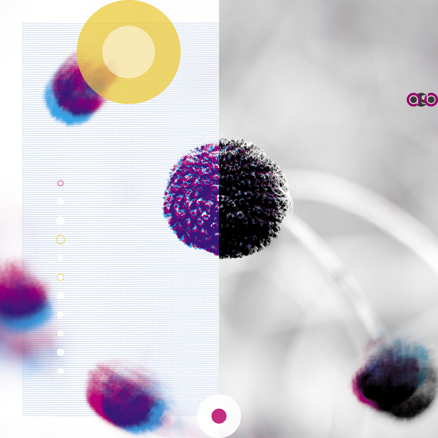 PlantVariations_compositions_v1 PlantVariations_compositions_v1