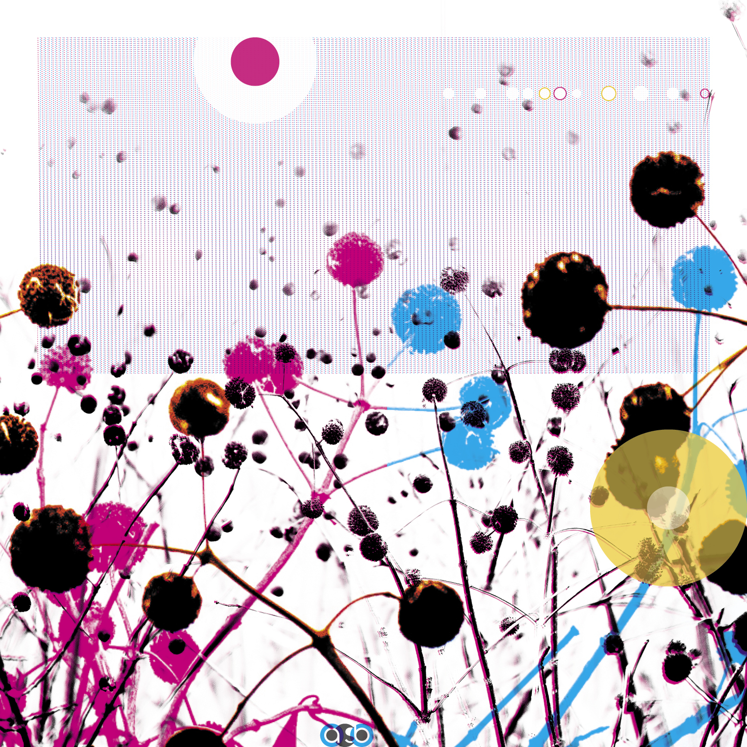 PlantVariations_compositions_v12 PlantVariations_compositions_v12