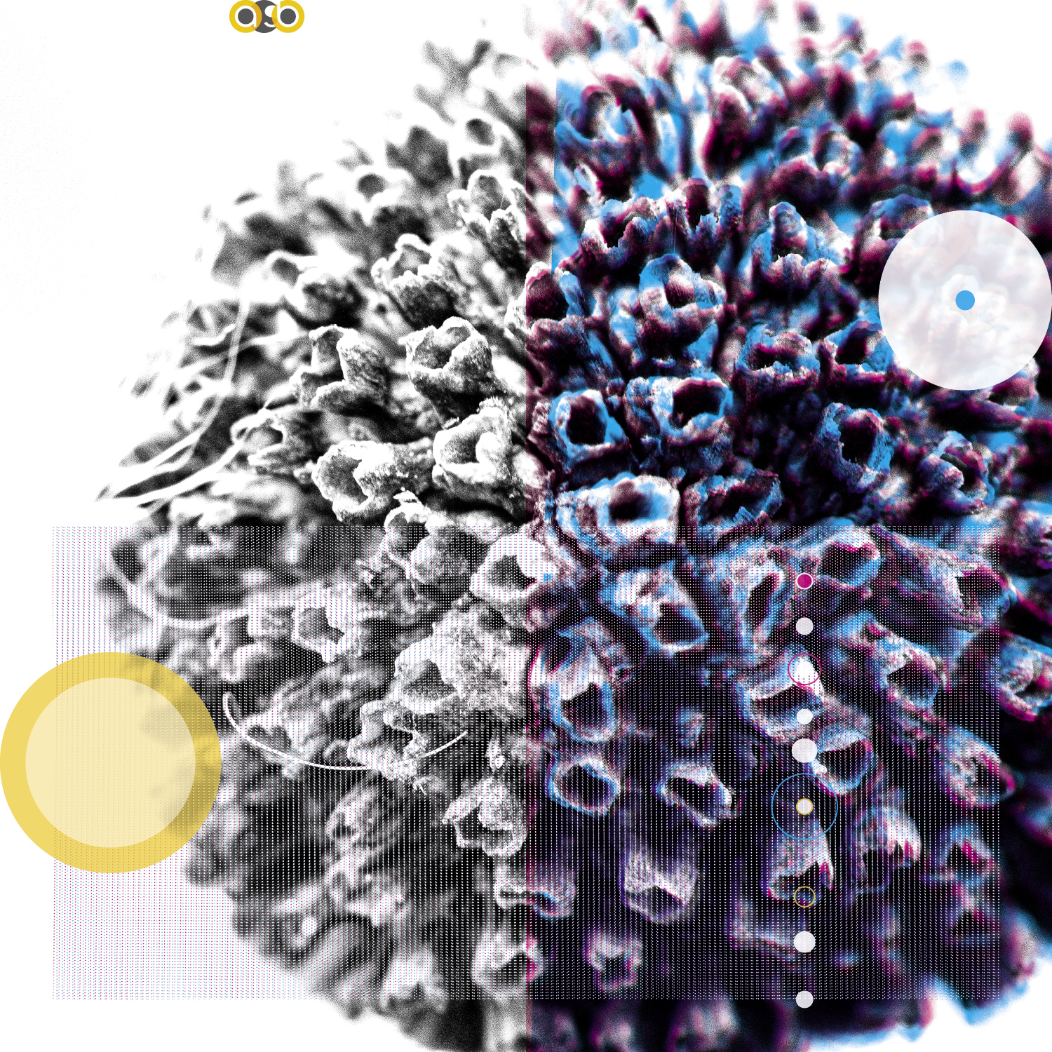 PlantVariations_compositions_v13 PlantVariations_compositions_v13