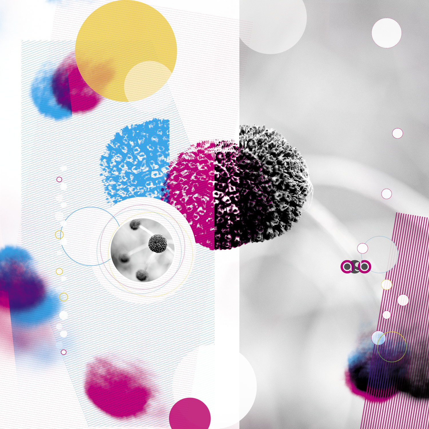 PlantVariations_compositions_v14 PlantVariations_compositions_v14
