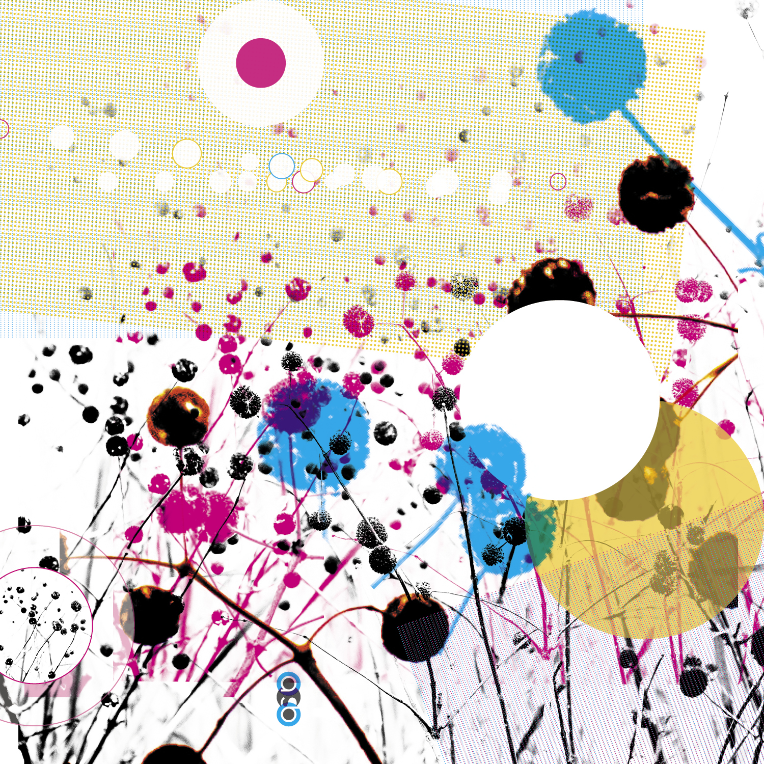 PlantVariations_compositions_v15 PlantVariations_compositions_v15