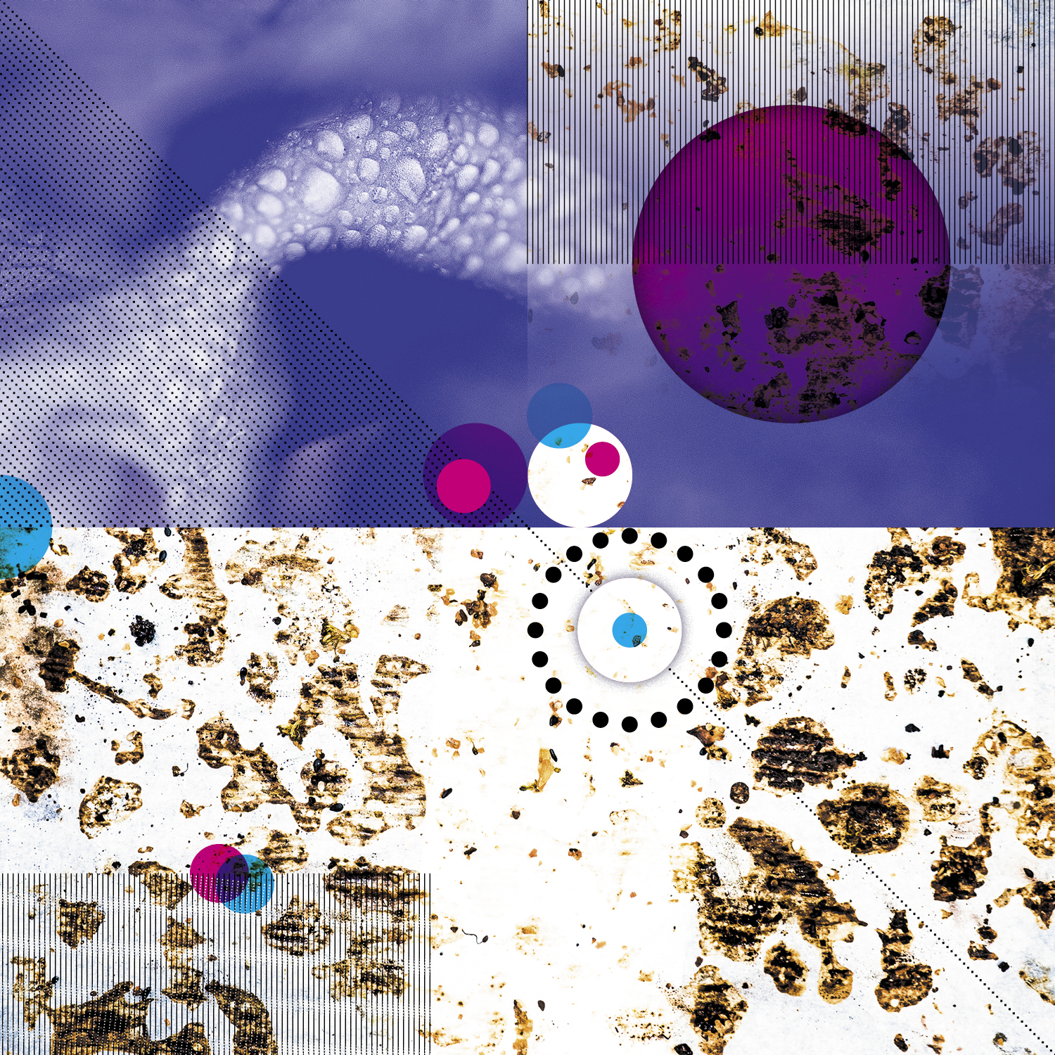 TrayVariations_compositions_17July_1 TrayVariations_compositions_17July_1