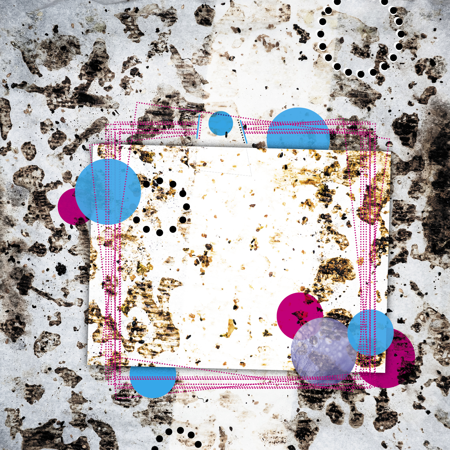 TrayVariations_compositions_17July_2 TrayVariations_compositions_17July_2