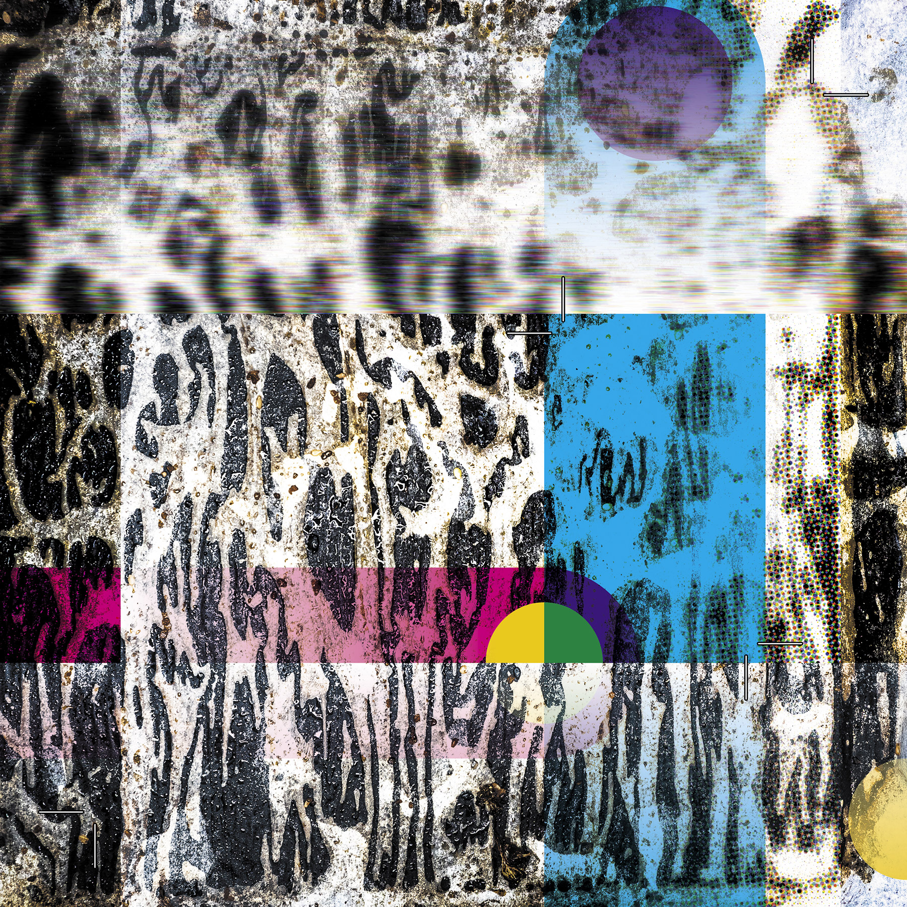 TrayVariations_compositions_1August_insta TrayVariations_compositions_1August_insta