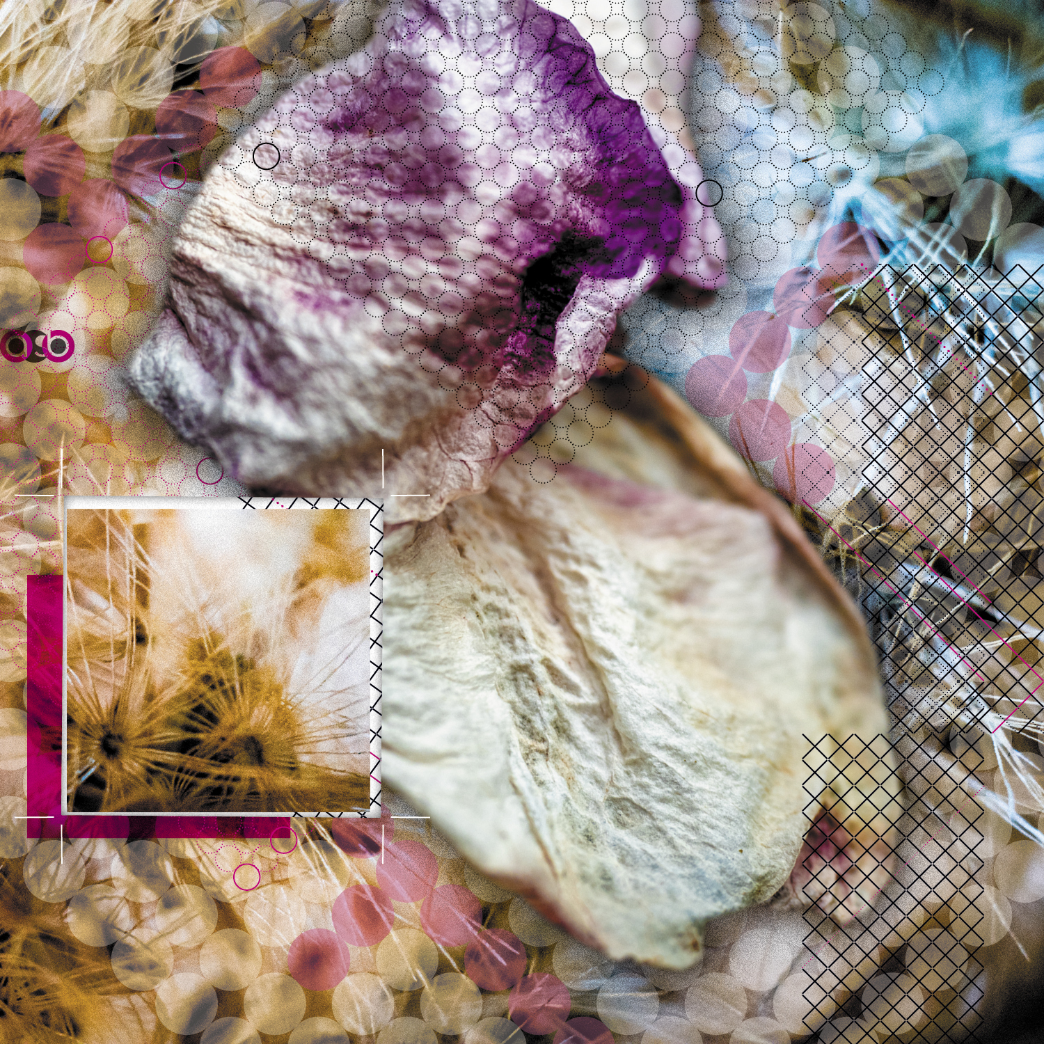 TrayVariations_compositions_PlantParts_v1_1 TrayVariations_compositions_PlantParts_v1_1
