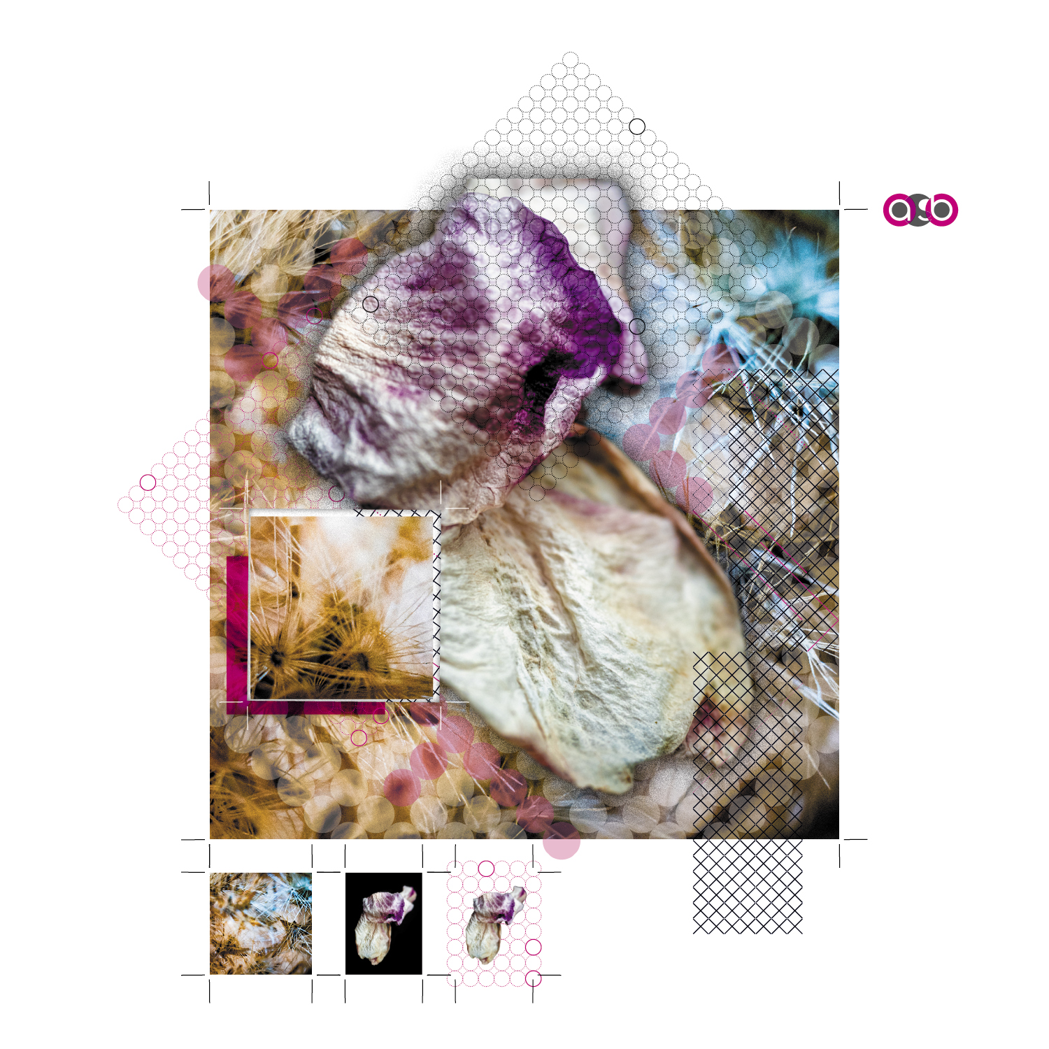 TrayVariations_compositions_PlantParts_v1_4 TrayVariations_compositions_PlantParts_v1_4