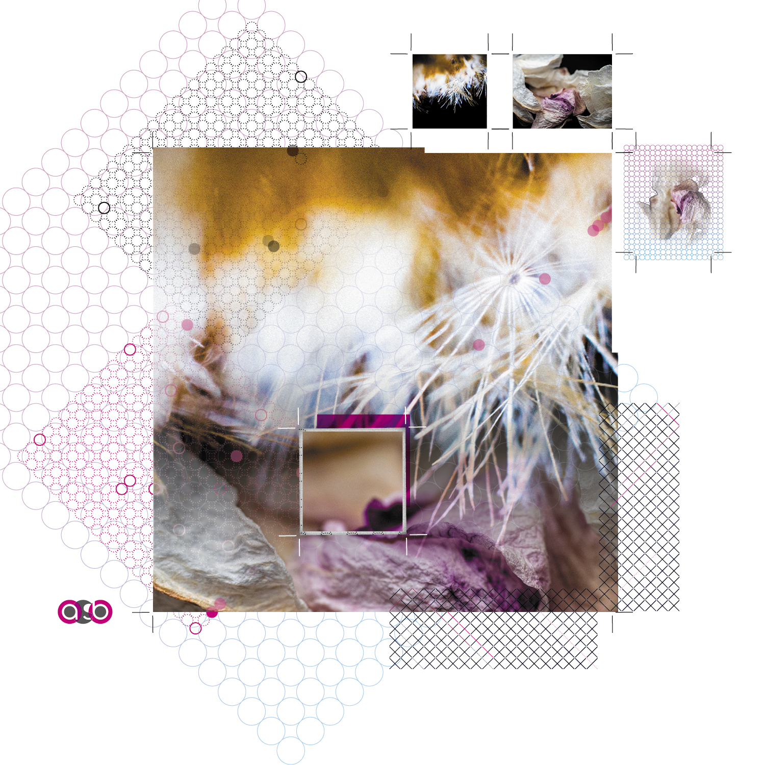 TrayVariations_compositions_PlantParts_v1_5 TrayVariations_compositions_PlantParts_v1_5