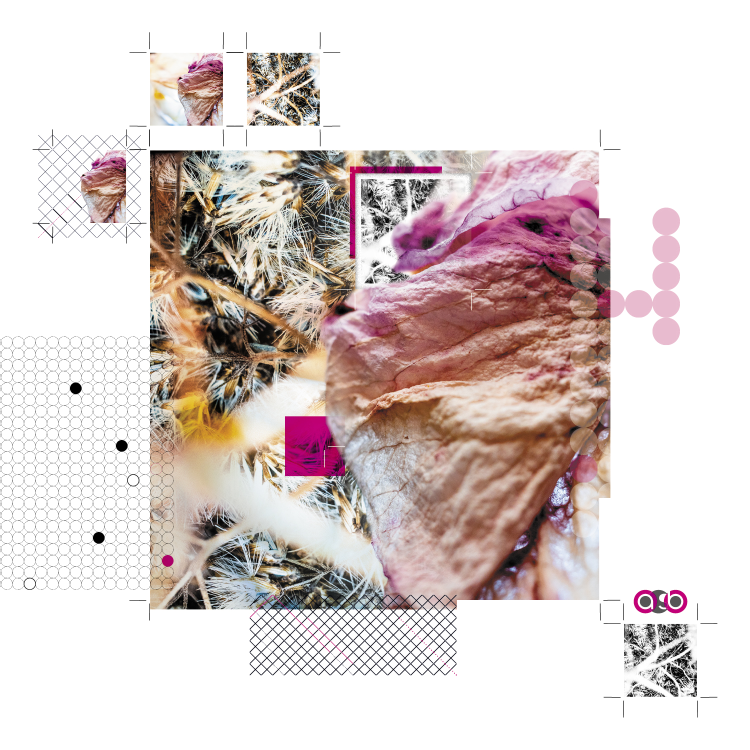 TrayVariations_compositions_PlantParts_v1_6 TrayVariations_compositions_PlantParts_v1_6