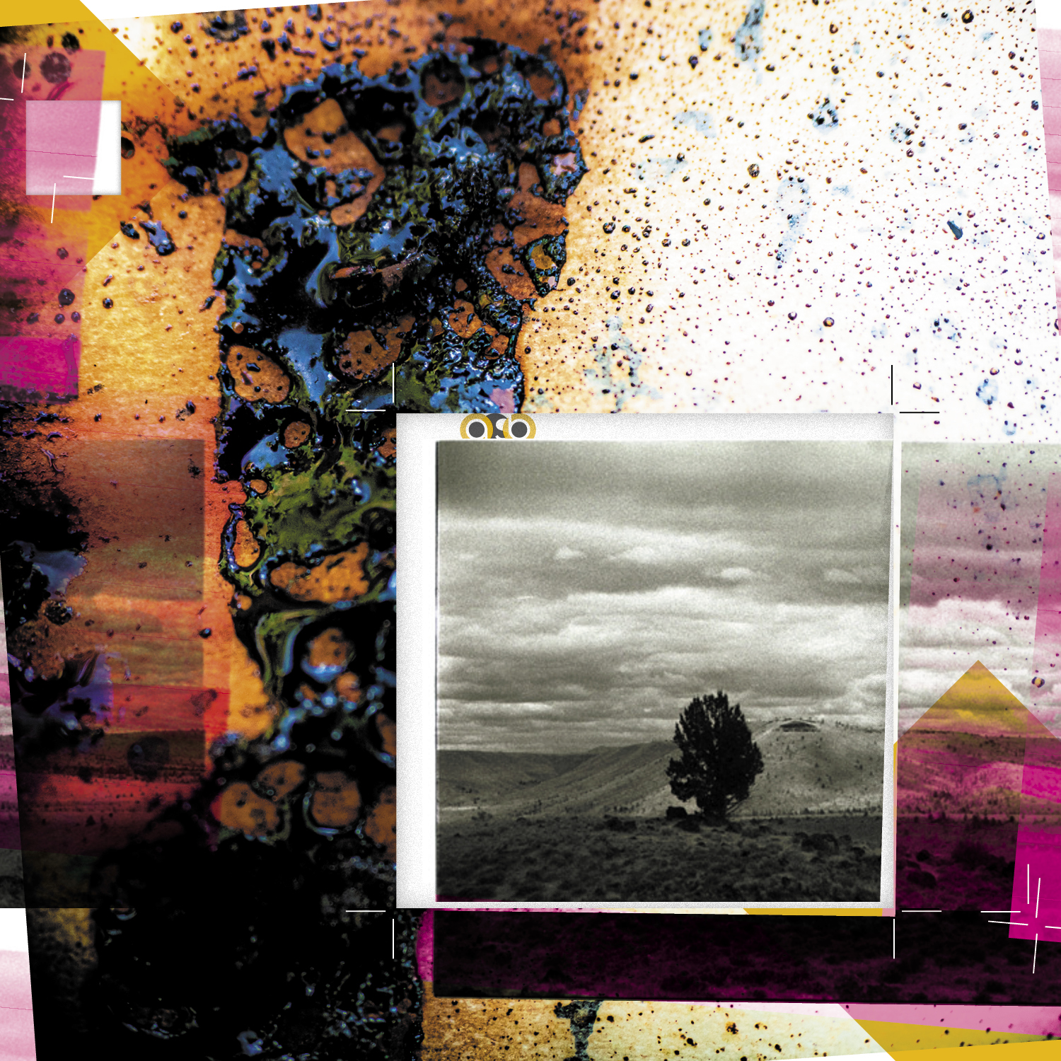 TrayVariations_compositions_v1_14_September2025_2 TrayVariations_compositions_v1_14_September2025_2