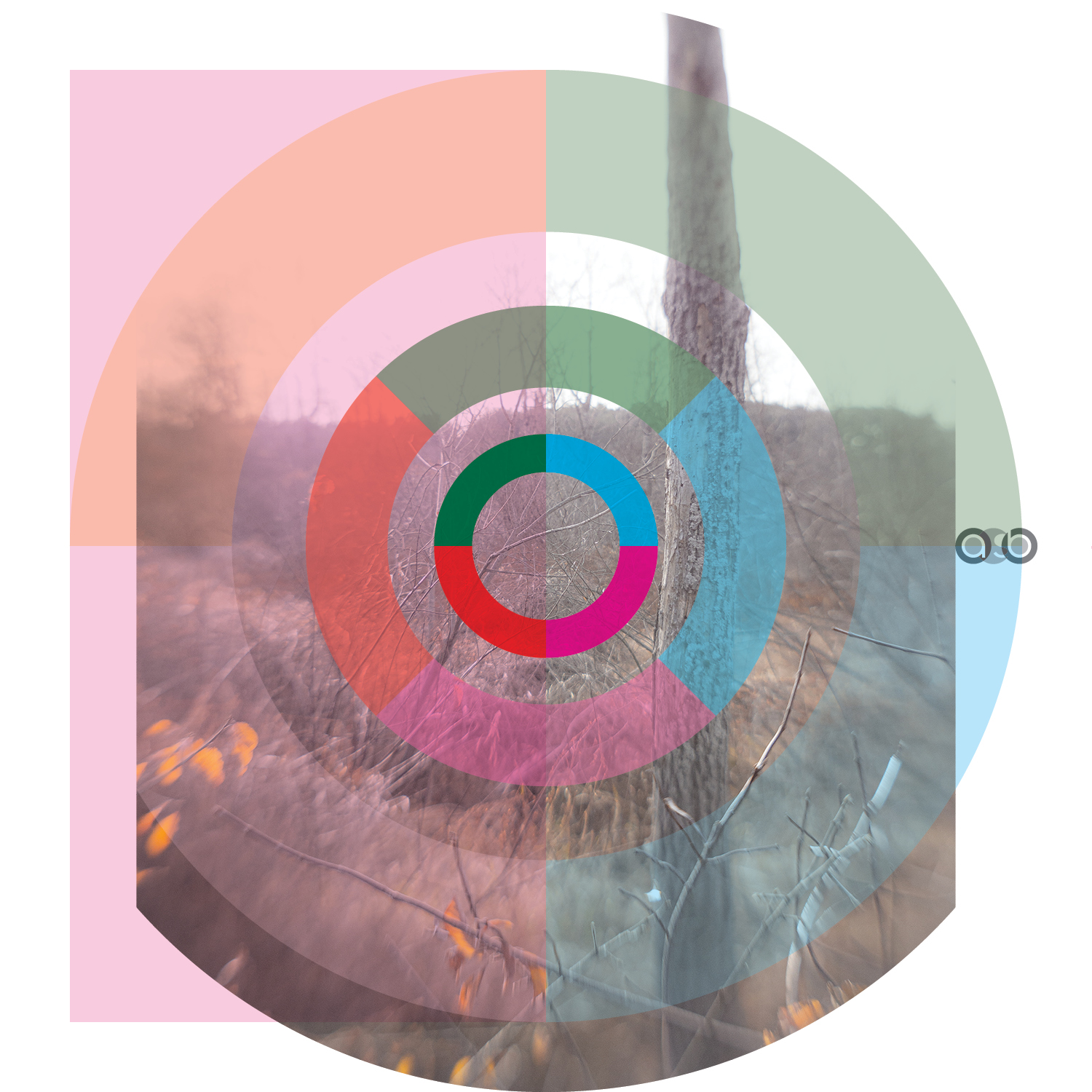 TrayVariations_compositions_v3 TrayVariations_compositions_v3