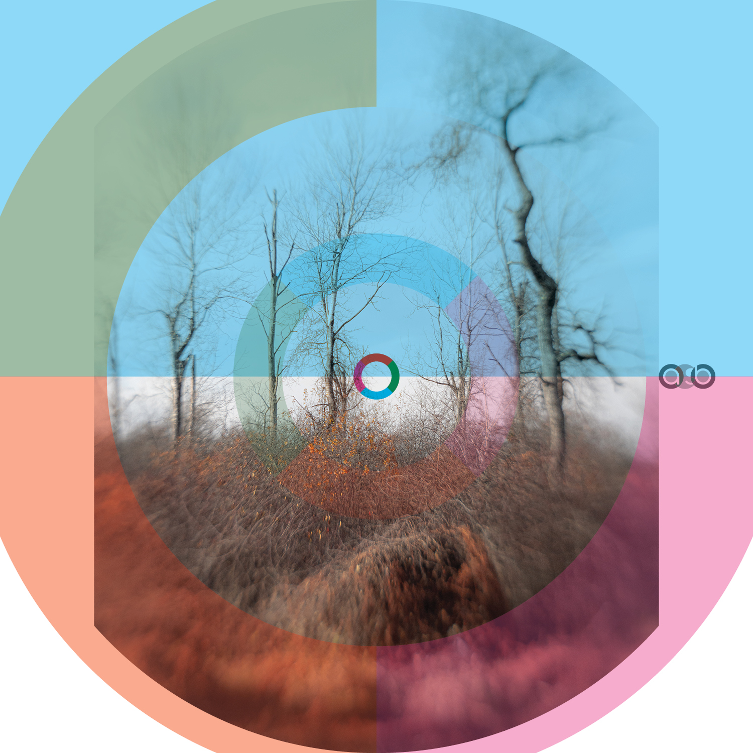 TrayVariations_compositions_v32 TrayVariations_compositions_v32