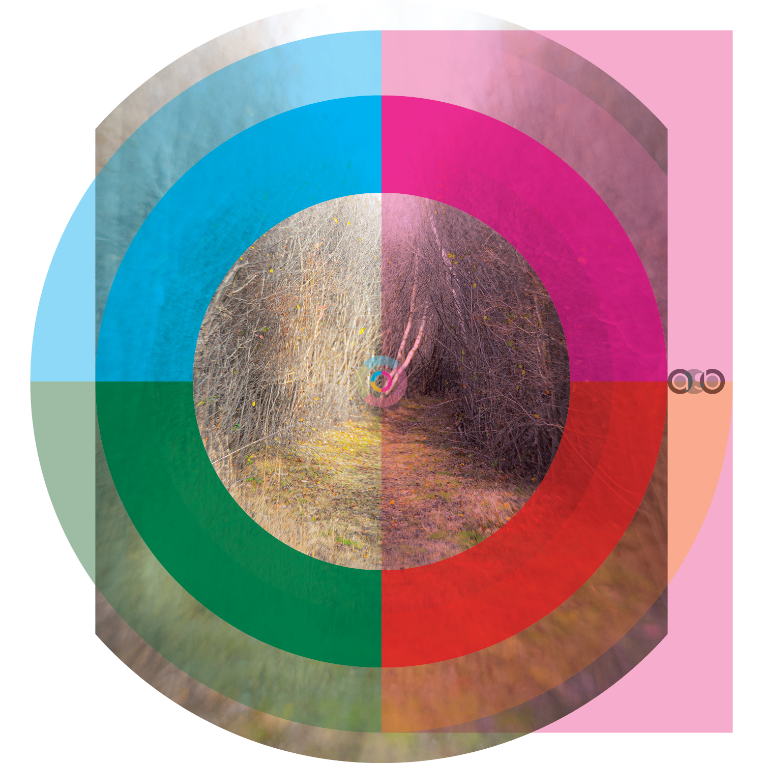 TrayVariations_compositions_v33 TrayVariations_compositions_v33
