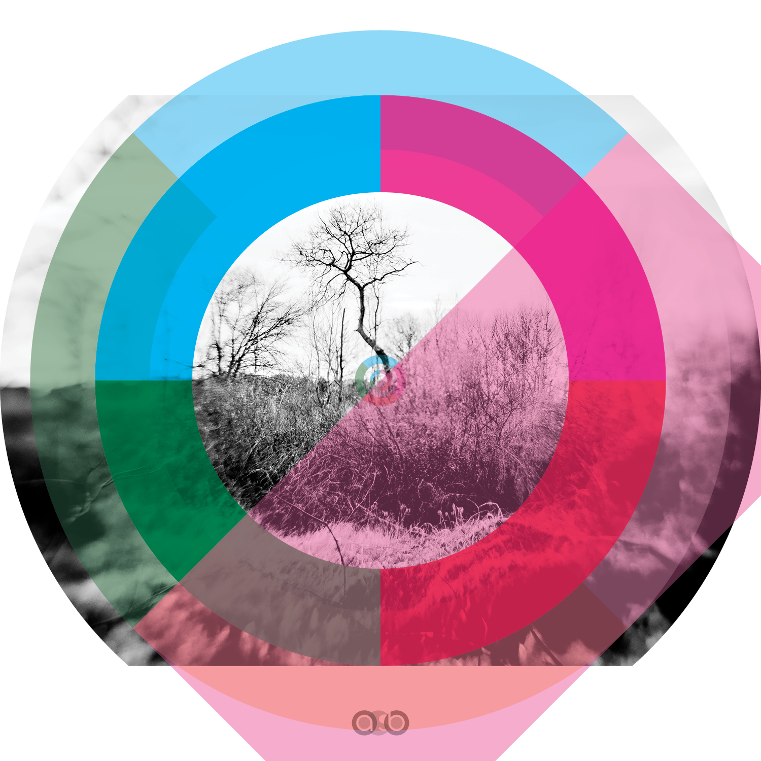 TrayVariations_compositions_v34 TrayVariations_compositions_v34