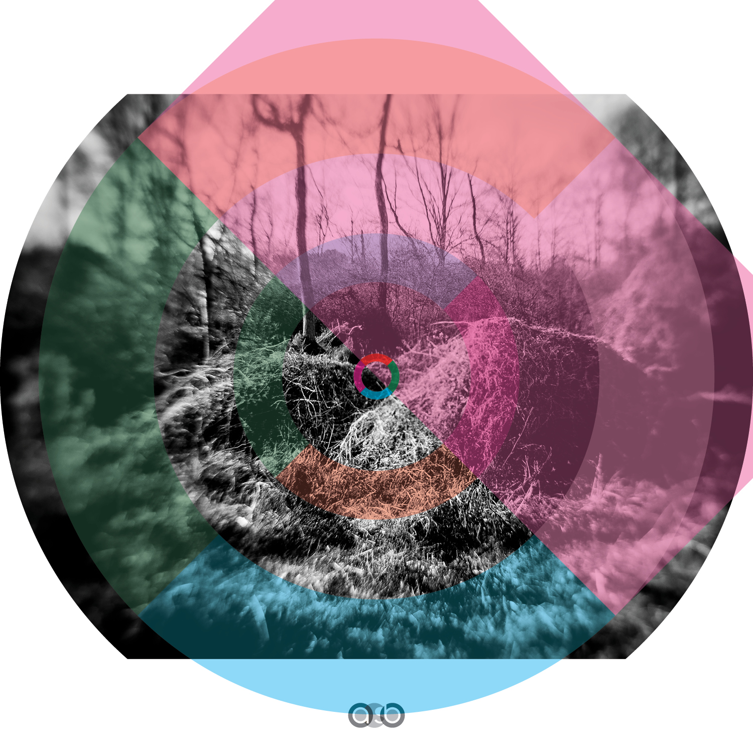 TrayVariations_compositions_v35 TrayVariations_compositions_v35