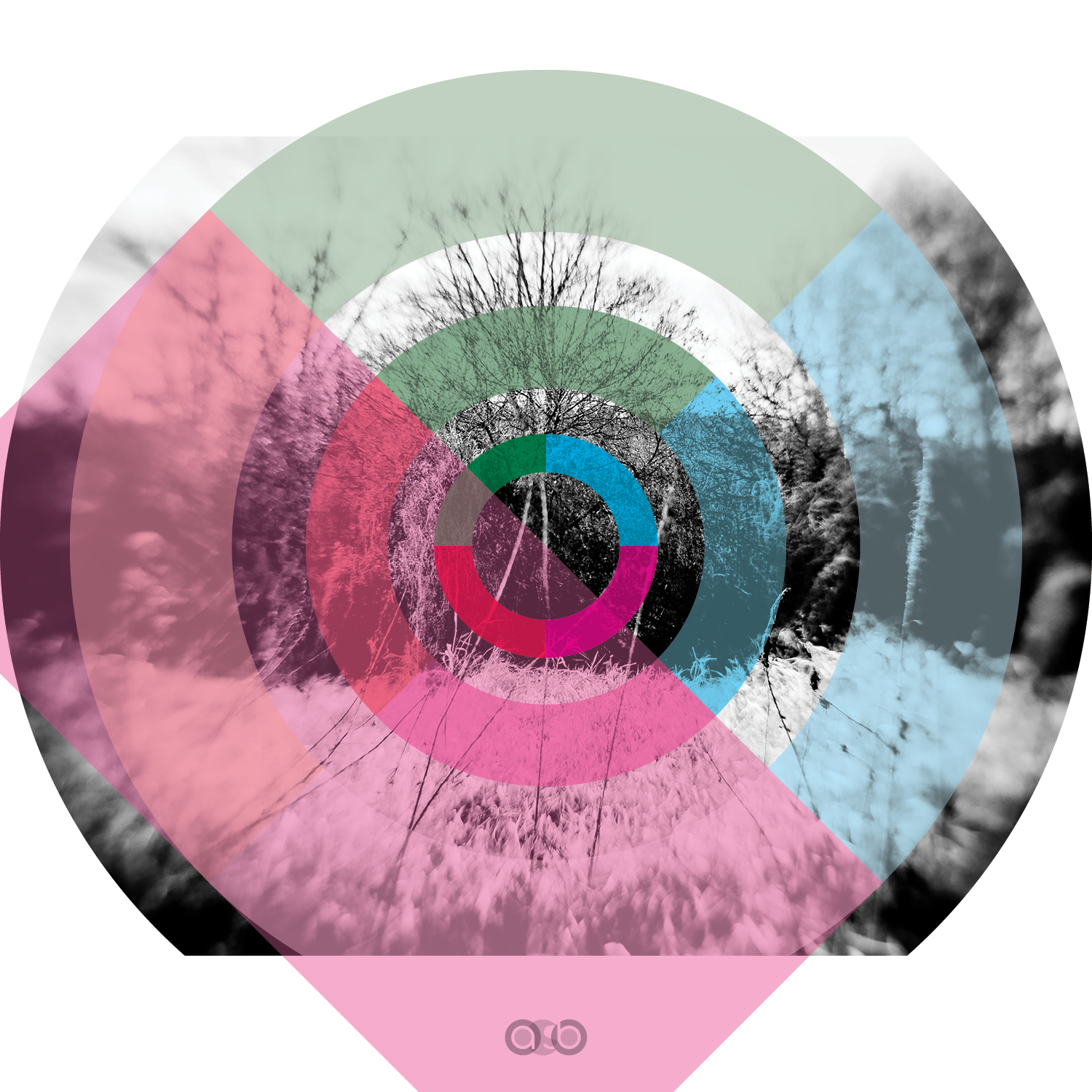 TrayVariations_compositions_v36 TrayVariations_compositions_v36